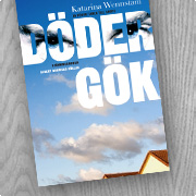 doder_gok_ny
