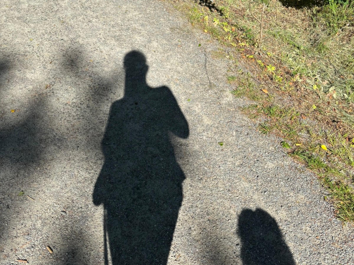 Vad har jag egentligen gjort i&nbsp;sommar?
